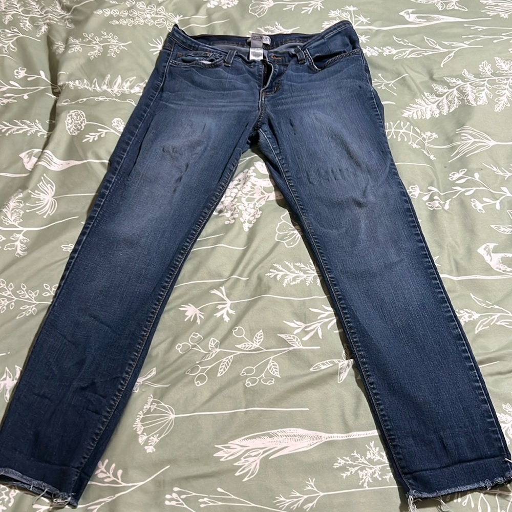 Judy Blue jeans, 13/31